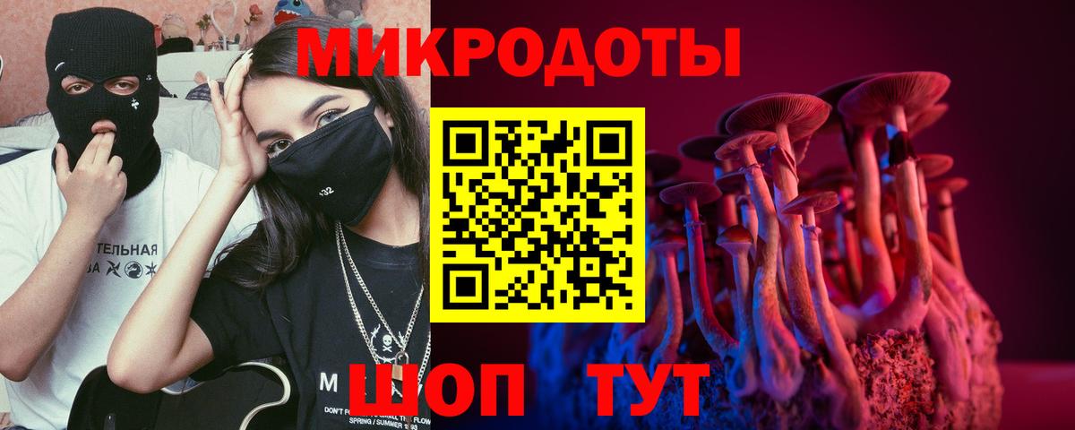 Псилоцибиновые грибы GOLDEN TEACHER Светлоград